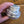 Load image into Gallery viewer, 3 Bees Balm