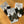 Load image into Gallery viewer, Cravn Earrings