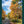 Load image into Gallery viewer, GMDG Postcards