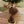 Load image into Gallery viewer, Bobblehead