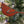 Load image into Gallery viewer, Salvaged Metal Ornament