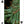 Load image into Gallery viewer, Playing Cards