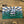 Load image into Gallery viewer, Vermont Postcard Decals