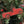 Load image into Gallery viewer, Salvaged Metal Ornament