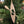 Load image into Gallery viewer, Aluminum ornament
