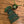 Load image into Gallery viewer, Vermont Neck Gaiters