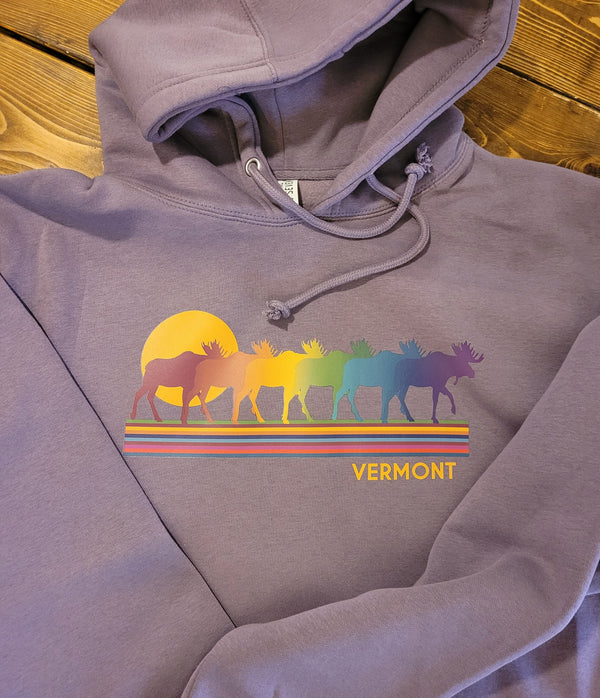 Adult Hoodie